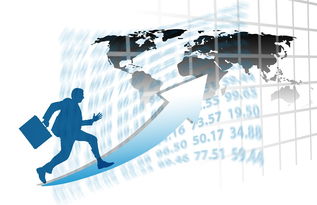 leyu中国-中国篮球职业联赛赛事运营管理优化研究，中国篮球竞赛体系